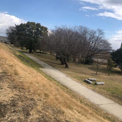いつもの散歩道にありがとう❤︎