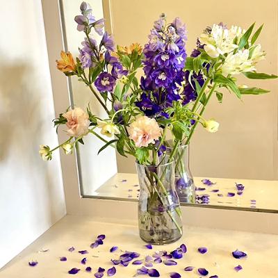 第四季EP16【「草本腰蒸」 —— 增加免疫力、預防髖關節退化】