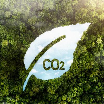 #295 - Carbon Credits At Carbon Market: Ano ba talaga 'to?