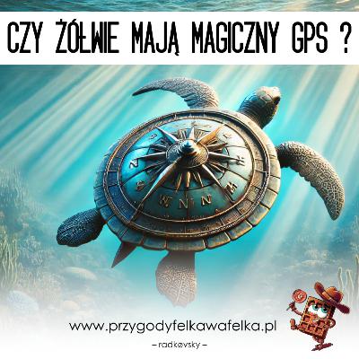 Czy żółwie mają magiczny GPS? 🐢 nauka dla dzieci | Słodka Nauka (SNF_010)
