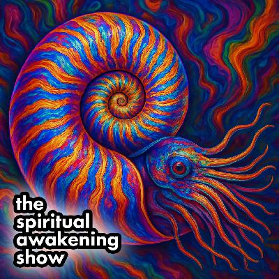 Life-Changing Synchronicities with Bernard Beitman, MD