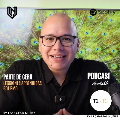 Lecciones aprendidas - Rol PMO