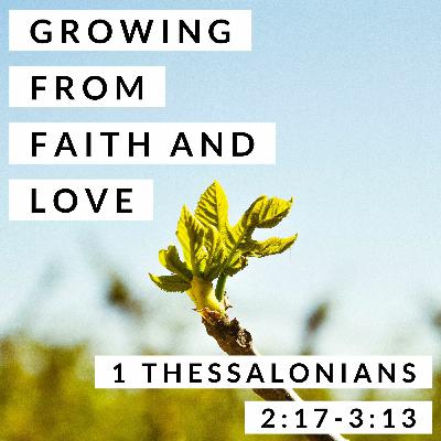 Growing from Faith and Love; 1 Thessalonians 2:17-3:13 Growing from Faith and Love; 1 Thessalonians 2:17-3:13