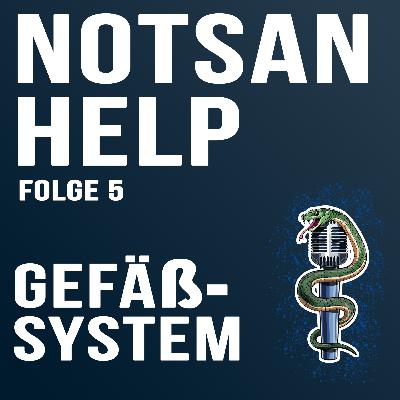 Gefäßsystem | NOTSAN-HELP - 05