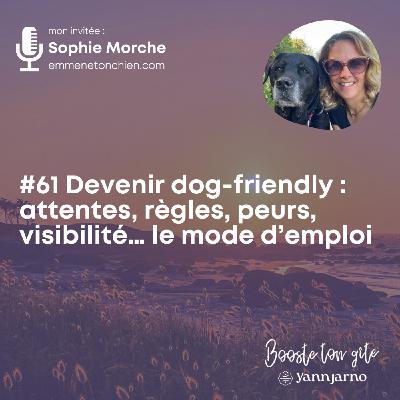 #61 Devenir dog-friendly : attentes, règles, peurs,  visibilité… le mode d’emploi avec Sophie Morche - Emmene ton chien