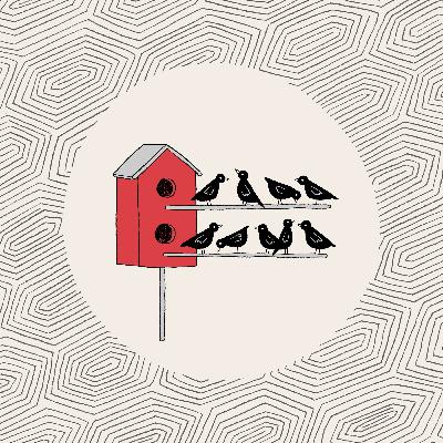 I Cashed Out My 401(k) to Build a Women’s Only Retirement Community