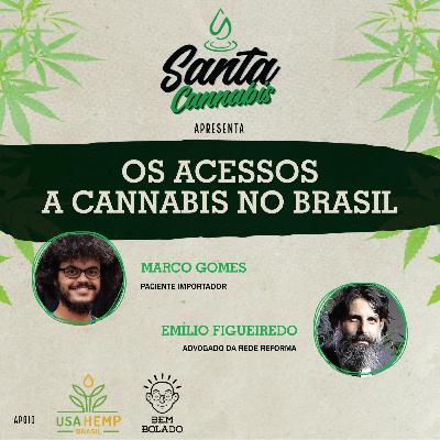 Os acessos a cannabis no Brasil