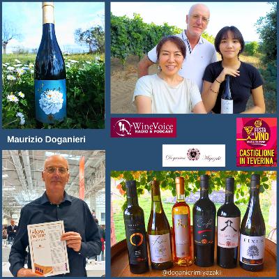 Le Terre del Vino: DOGANIERI MIYAZAKY (Alta Tuscia) - 40° Festa del Vino Colli del Tevere