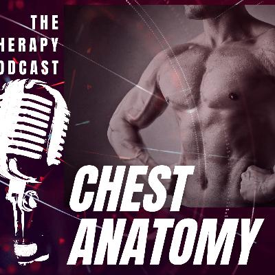 Фитнес анатомия на гърдите и корема │ BarbellTherapy Podcast EP.8