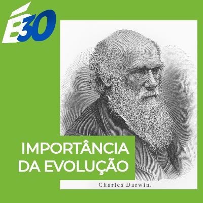 Importância da evolução