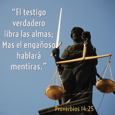 48 - Joyas de Sabiduría - Hagamos que la justicia prevalezca [Proverbios 14:25-27]