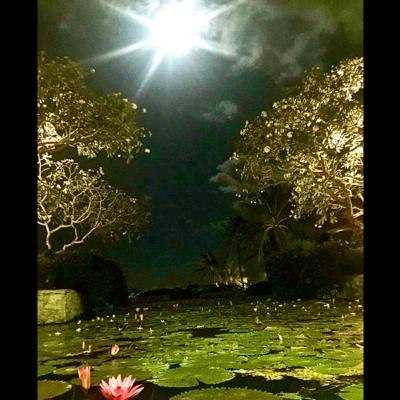 Sharad Poornima.