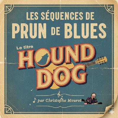 PRUN DE BLUES - SEQUENCE UN TITRE, UNE HISTOIRE - 'HOUND DOG' - FEVRIER 2026