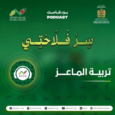 بودكاست "سِرْ فْلاَحْتِي" الحلقة 1 حول موضوع تربية الماعز الحلوب بإقليم شفشاون