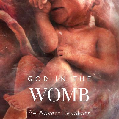 God in the Womb: Day 23 - The Woman, The Child, and The Dragon