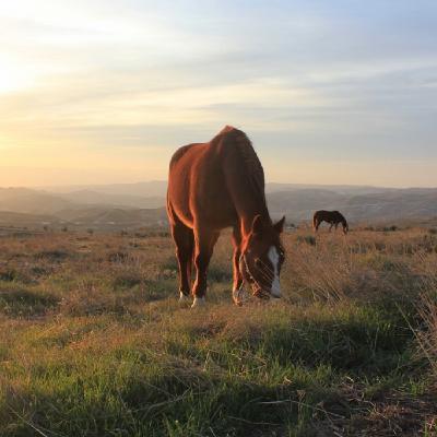 Vuelven los '80 #006 Una canción, un momento, una sensación