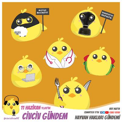 Bölüm 24 - 11 Haziran 2022 | Haftanın Hayvan Hakları Gündemi