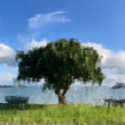 EP31｜2024年，在紐西蘭看第一道曙光🌄