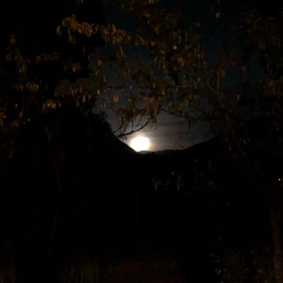 Yoga Nidra para un descanso reparador