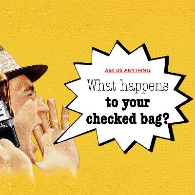 What happens to your bag after you check it in?