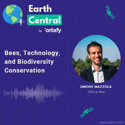 Bees, Technology, and Biodiversity Conservation with Simone Mazzola, 3Bee