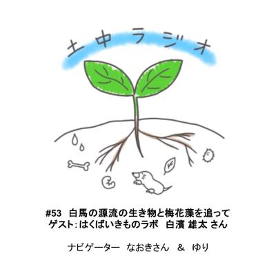 土中ラジオ#53　白馬の源流の生き物と梅花藻を追って　ゲスト：白濱 雄太 さん