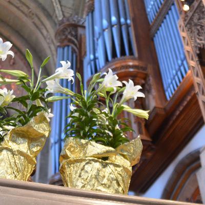April 4, 2021 - Easter Sunday: Unfolding Joy