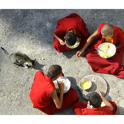 Are You Prepared To Save A Life?