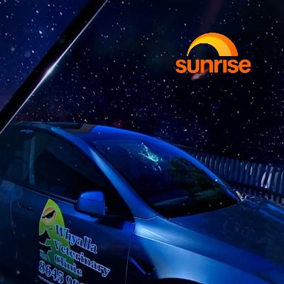 Vet's new Tesla apparently struck by meteor on highway