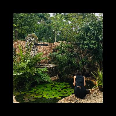 Looking Back, Looking Forward