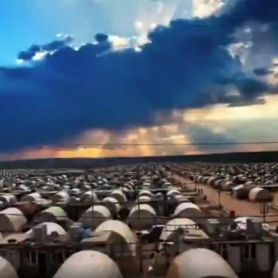 Claire Edwards: The COVID-19 Genocide of 2020 Claire Edwards: The COVID-19 Genocide of 2020