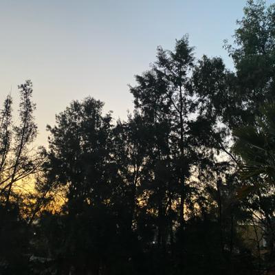 Cuarentena según un adolescente