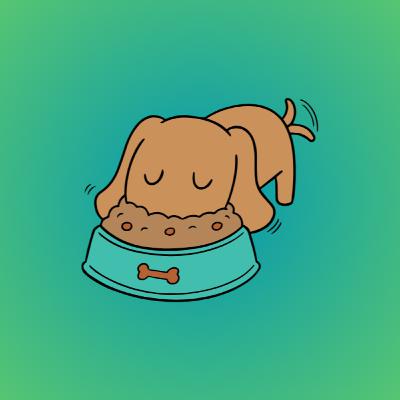 Alla Scoperta del Cibo Monoproteico per Cani