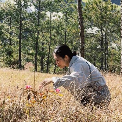 Làn 86: Lạc trong rừng