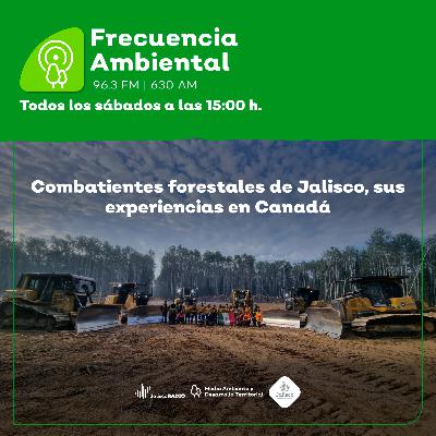 Episodio 210. Combatientes forestales de Jalisco, sus experiencias en Canadá