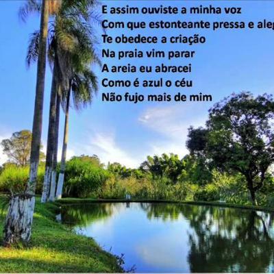 Passageiro Acidental - Stênio Marcius