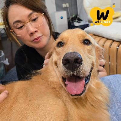 WiTcast 145 – คุณแน็ต คนใจหมา เล่าประสบการณ์พา K9 Simba ไปช่วยกู้ภัยตึกถล่ม / คุณเอก คนช่างสงสัย คุยเรื่องโครงสร้างตึกกับผลกระทบหลังแผ่นดินไหว
