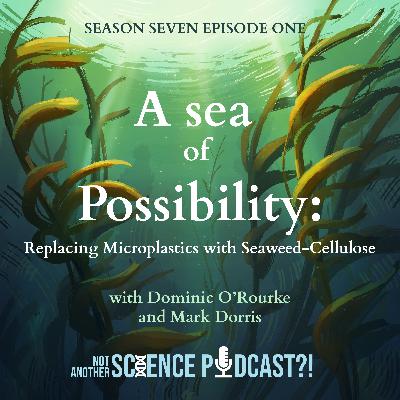 A Sea of Possibility: Replacing Microplastics with Seaweed-Cellulose