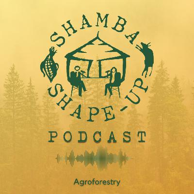 Agroforestry