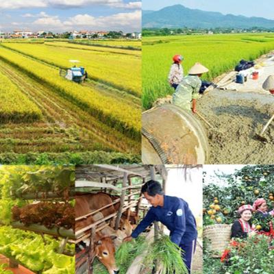 Xã hội chuyển động - Cần thêm nhiều chính sách đồng bộ để thực hiện mục tiêu giảm nghèo nhanh và bền vững Xã hội chuyển động - Cần thêm nhiều chính sách đồng bộ để thực hiện mục tiêu giảm nghèo nhanh và bền vững