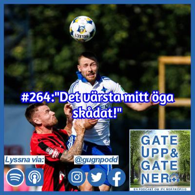 #264:"Det värsta mitt öga skådat!"