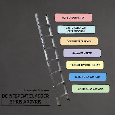 Reflectie en Intervisie Deel 16 - De Inferentieladder van Chris Argyris