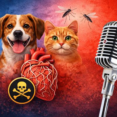 Verme do coração: como proteger cães e gatos dessa doença grave Verme do coração: como proteger cães e gatos dessa doença grave