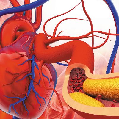 S6 - Spécial Nouvelle Année & Santé Cardiovasculaire - #236 S6 - Spécial Nouvelle Année & Santé Cardiovasculaire - #236