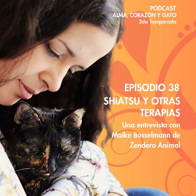 E.38: Shiatsu y otras terapias con Maike Bosselmann