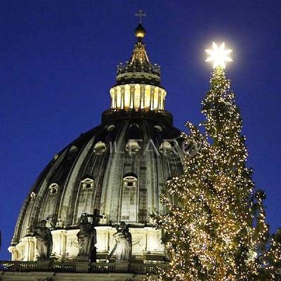 Fesserie ecologiste: no all'abete in Vaticano