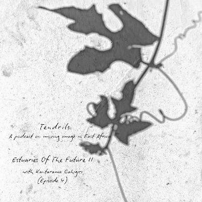 Estuaries Of The Future II with Kantarama Gahigiri - (Episode 4) Estuaries Of The Future II with Kantarama Gahigiri - (Episode 4)