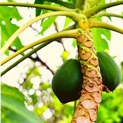 La falta de propósito produce agotamiento La falta de propósito produce agotamiento