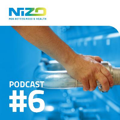 Processing makes the difference in protein functionality