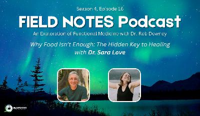 Why Food Isn't Enough: The Hidden Key to Healing